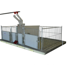 Pig cage equipment farm pig fattening crates for pig pen